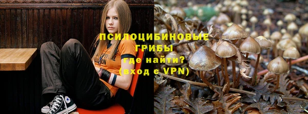 мяу мяу мука Белоозёрский