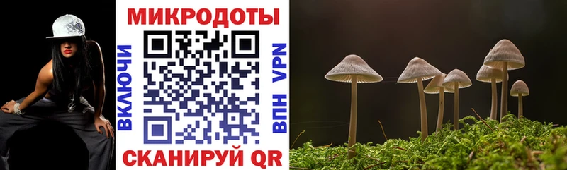 наркота  Кораблино  Псилоцибиновые грибы Cubensis 